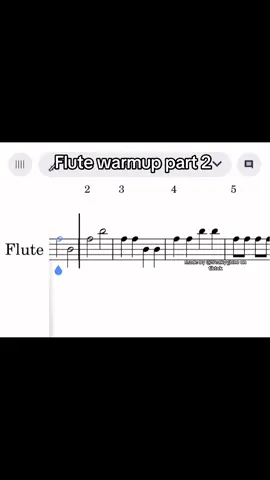 #flute #woodwind #warmup #band #fyp