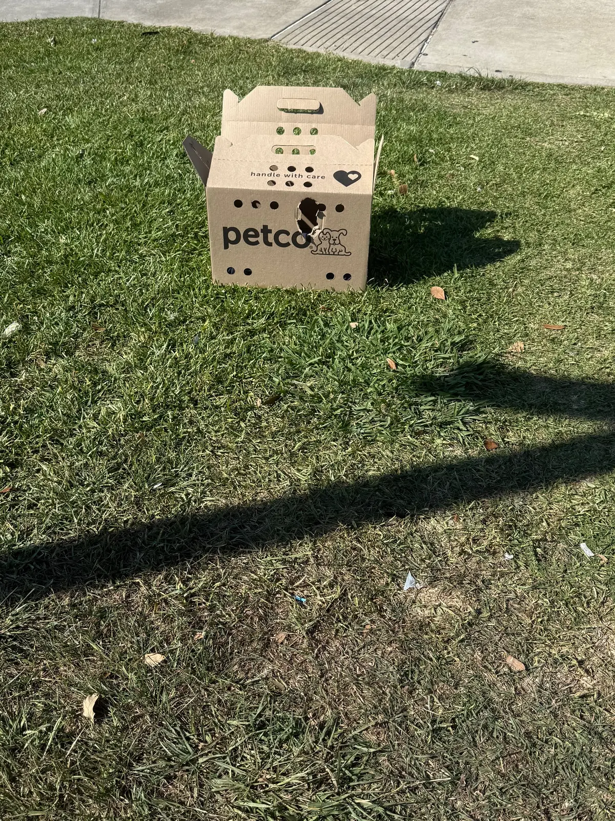 Por favor necesito que compartan esto para que se le haga justicia a este pequeño ángel, lo encontré en Beechnut y Gesner en Houston, dentro de una caja que es de PETCO, el fue adoptado de este lugar y fue abandonado en la misma caja en la orilla de la calle, la policía me ignoró y se burló de la situación, tuvieron cero compasión conmigo y con el perrito, llamé a PETCO y ellos también me ignoraron ! Ayúdame a compartir y darle voz a este perrito y que no quede impune lo que le hicieron, el era una vida no basura ! 