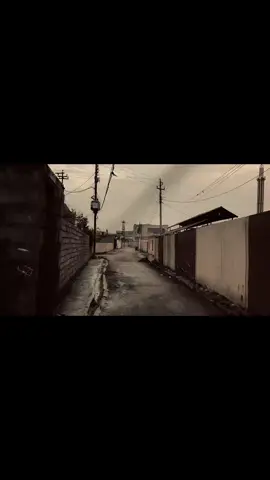 شلونه تصويري#اكسبلور #مشاهدات #شلونه_تصويري📸 