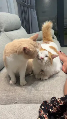 Anak sholeh 
