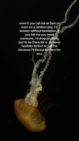 ☎️ #fyp #taylorswift #fortnight #call #foryoupage 