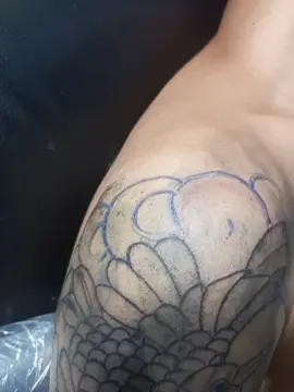 freehand #tommytattoart #fyppppppppppppppppppppppp #tattoar #tattoo #tatto 