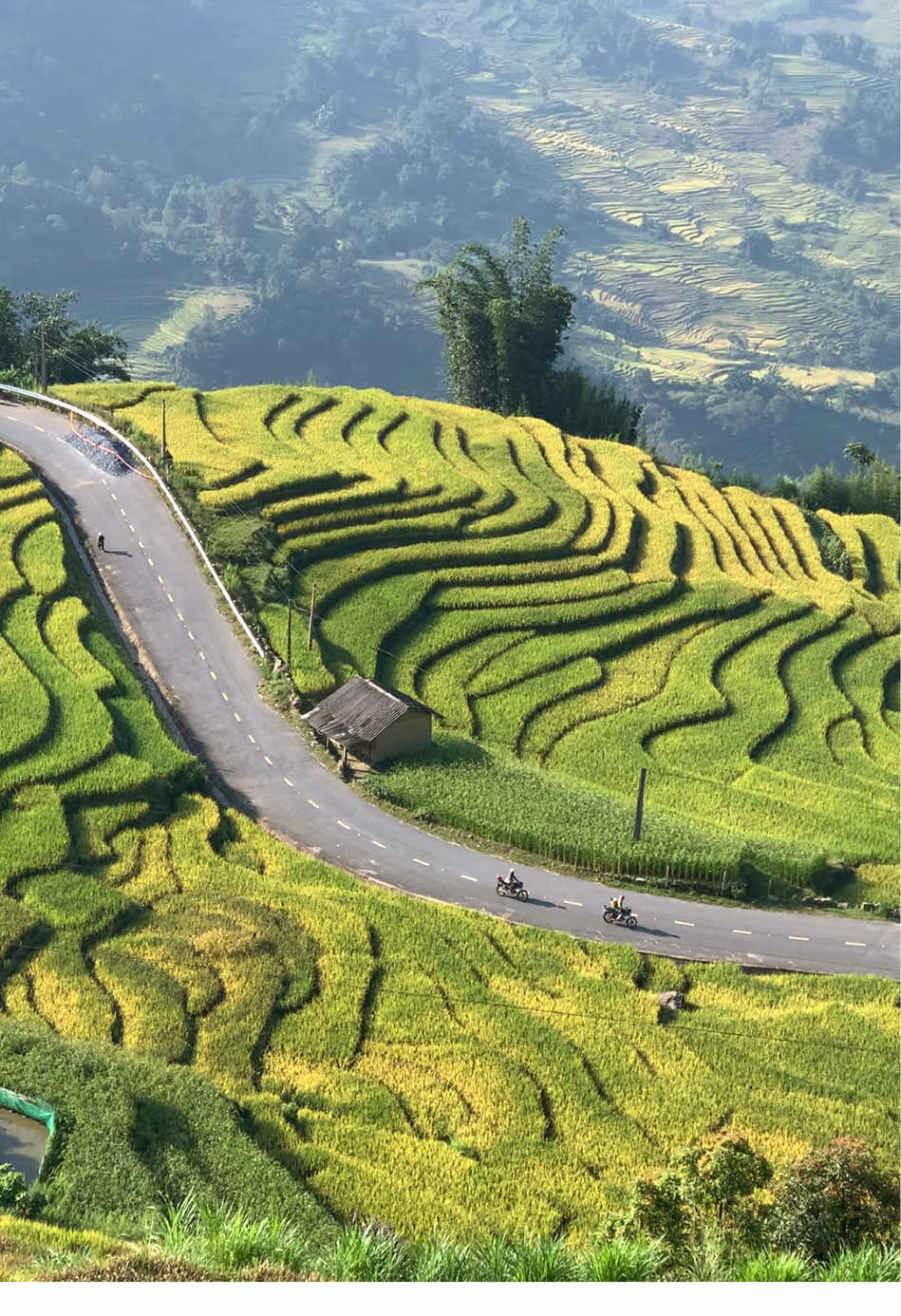 Gặp Y Tý rồi thật khó lìa xa #yty #laocai #chill #travel #dulich #trending #xuhuong #feelings #motnghinbuocchan 