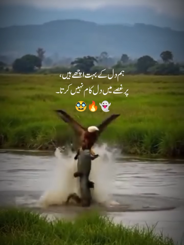 #creatorsearchinsights 😎🦅👑EAGLE 🦅 KING👑 ☝️🔥🦅🌍💯, کیا تماشا ہے کہ سب مجھ کو برا کہتے ہیں  اور سب چاہتے ہیں میرے طرح کا ہونا,😎☝️🦅♥️#fyp #viral #CapCut #tiktoksupportme 