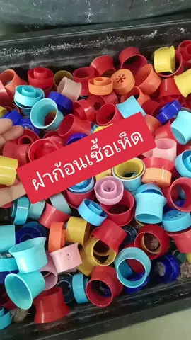 ฝาก้อนเชื้อเห็ด