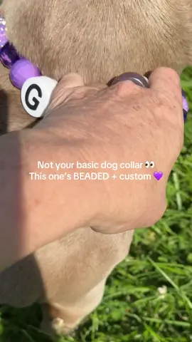 Gwen’s new collar >>> 🐾✨ A personalized beaded dog collar that’s as stylish as it is unique 💕 #DogTok #PetStyle #CustomDogCollar #bullylover #dogcollar 