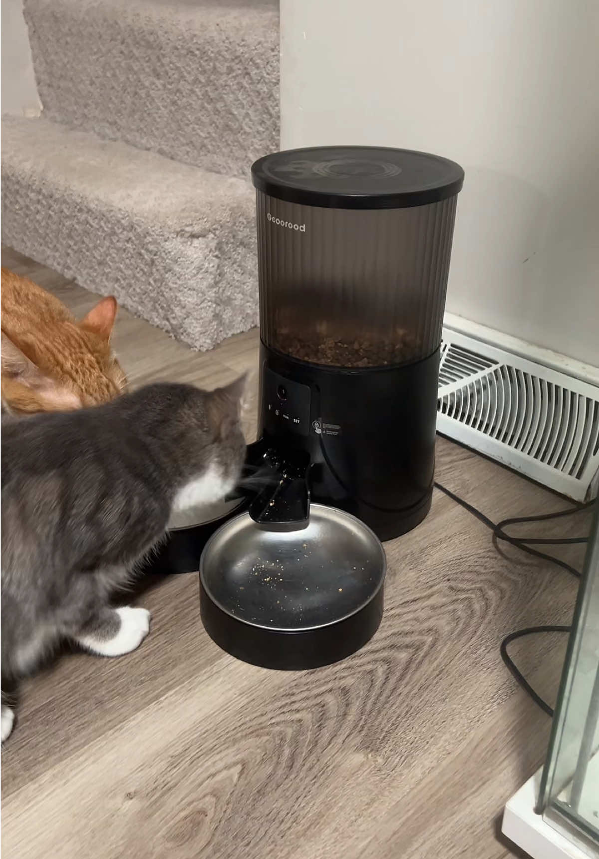 Even when I forget, the automatic feeder never does. Every meal, right on time. #tiktokshoprestock #TikTokShopBlackFriday #TikTokShopCyberMonday #automaticfeeder #catfeeder 