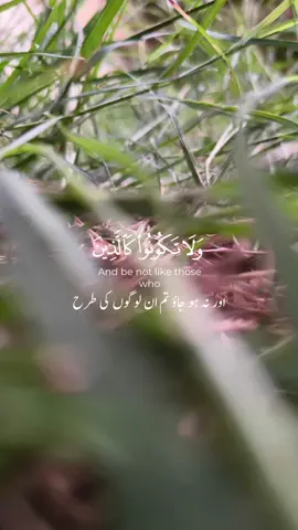 #foryoupage #islamic_video #fouryou #viral #for 