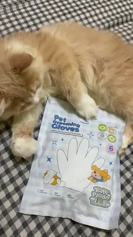 ถุงมือเปียกเช็ดทำความสะอาดสัตว์เลี้ยง mypaws ✔️ สูตรอ่อนโยน pH Balance ✔️ ไม่มีแอลกอฮอล์ ไม่มีพาราเบน ✔️ กลิ่นหอมเบบี้พาวเดอร์ 🍼 ✔️ ใช้ง่าย พกพาสะดวก ได้ทั้งน้องหมา-น้องแมว 👉 1 แพ็คมี 6 ชิ้น ใช้งานง่ายทุกที่ทุกเวลา 💙 ##mypaws##ถุงมือเช็ดสัตว์เลี้ยง##เช็ดหมาเช็ดแมว##กลิ่นหอมเบบี้พาวเดอร์##ของใช้สัตว์เลี้ยง