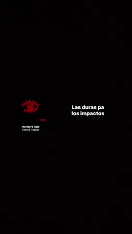 #fuerzaregida#malbororojo#spotify#musica#spotify#fuerzaregida 
