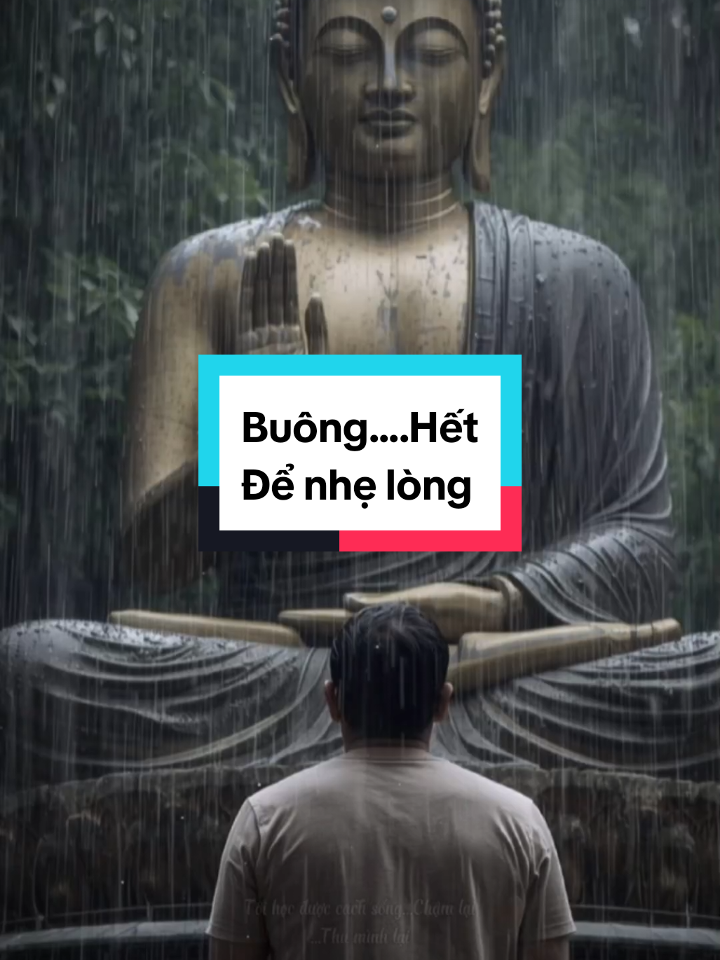 Buông...hết cho nhẹ lòng#phatphapnhiemmau #phatphap #loiphatday #baihoccuocsong #phongthuygapmayman 