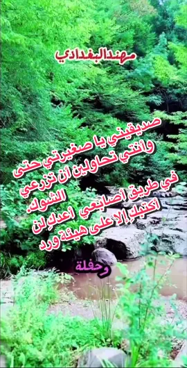 صديقيني يا صغيرتي حتى وأنتي تحاولين أن تزرعي الشوك. في طريق أصابعي ، أعدكِ لن أكتبكِ إلا على هيئة ورد..🌹❤️‍🔥🌹 #تصويري #تصميمي #مهند_البغدادي🇮🇶🇺🇸 #مهند_البغدادي🇺🇸🇮🇶 #شعر 