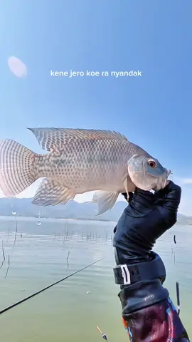 apa kalian punya teman mancing yg kek gini 😆
