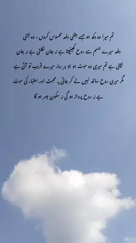 تم میرا وہ دکھ ہو جسے جتنی دفعہ محسوس کروں #poetry #foryoupageofficiall #poetrystatus #deeplines #poetrylover 