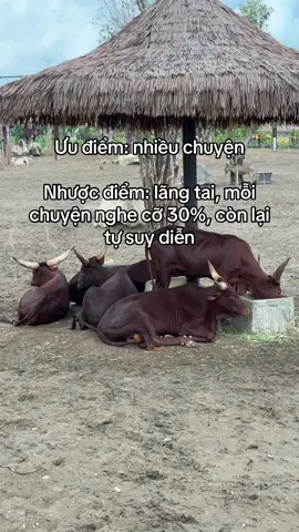 #VinWonders #GreenCreator #dulich #jhcefv9 #vinwondersvuyen 