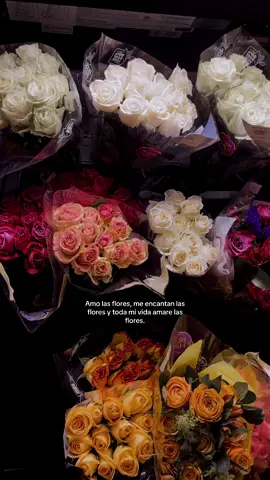 🤍🫶🏻 #paratii #flores #rosas 
