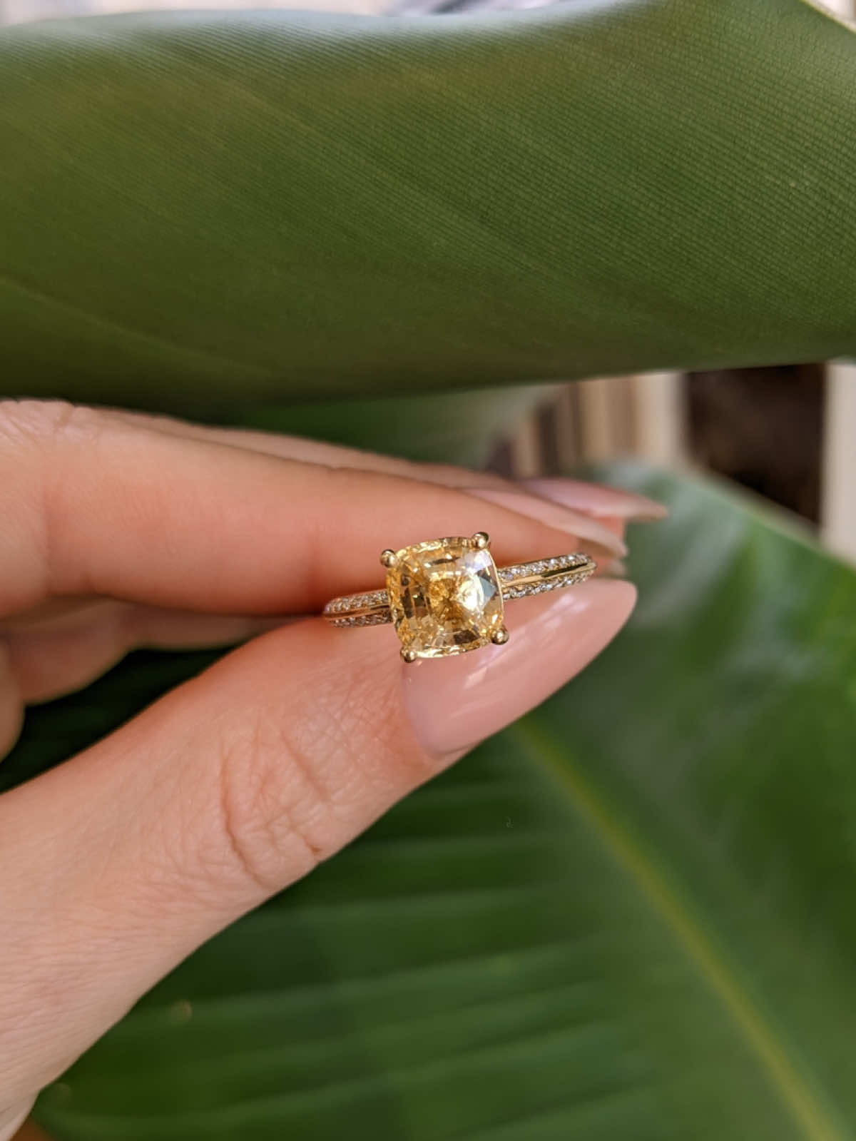 A 3.17 ct untreated, eye-clean yellow sapphire shines at the center of this yellow-gold ring, accented by 80 diamonds along the band and a hidden halo. DM us for details. #BlueSapphire #greensapphire #yellowsapphire #NaturalSapphire #TimelessBeauty #SapphireGlow #SapphireLovers #SapphireGlow #ElegantStyle #FineJewelry #sapphire #JewelryOfTheDay 
