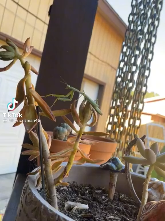 665 He was NOT in the mood  #raidenphotos #thanksfor1million #fypシ #dailylaugh #makeyourday