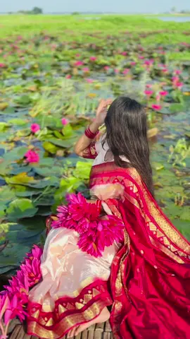 চলেন একদিন ঘুড়ে আসি 🤧#foryou #foryoupage #nipu 
