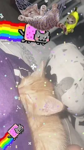 KITTTYYYY@Eva_min³ AND @hailee @Tokyo hotel lover 👁👅👁 