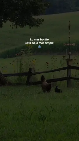 🙂🤍..#montañas #peace #paz#fyt#natural   #LIVEIncentiveProgram #LIVEwithlowfollowers #PaidPartnership #MyLIVEJourney 