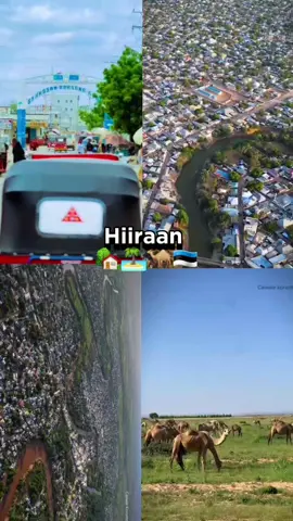 #hirshabelle💙🤍💚 #hiraansomalia🌴💉💯❤️ #baladweyne🌴🇸🇴 #geeleyfamily🐪🐪❤️ #galjecelsamow❤️🥰 