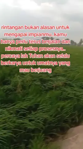 selamt siang sayang  #monetisasi  #musikviral  #fyp  #hiburan 