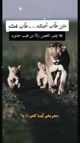 #cejour-là #التواضع_من_محاسن_الاخلاق #دمتم_بالخير_والسعاده_اينما_كنتم #اكسبلور #tiktokviral 
