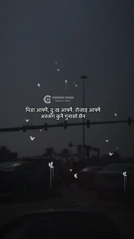 Part 229 जाबो घर बनाउदा त ऋण लाग्छ  मत जिन्दगि बनाउछु भनेर परदेशिएको अलि अलि ऋण र मन मा पिर त लागिहाल्छ नि #बुवा #आमा #माया #सन्तान #सायरी #नेपालि #कथाहरु #nepalimuser #nepalilines #sayari #status #Love #forever #goviral # #foryoupage #success #dear #nepalisadlines #nepalisadmusic #fypシ#nepalisadlines #CapCut #viral #foryoupage #onthisday #neweffect#foryou #trending #dear_ex #happy_unniversary #nepalisadtiktok #nepalisad #nepalisadstatus #nepalisadsiryal #nepalisadstory #nepalisadstatus💔 #nepalisadtemplate #nepalisadsongs #nepalisadstory😪😏 #nepalisadnews #success #helpmegro #iamreal #motivation #डियर #जिन्दगि #दुख