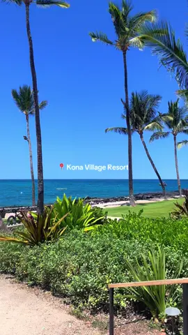 This and do not disturb 🫠🌺🌊🥥☕️ #hawaii #traveltok #travelbucketlist #rosewood #resortlife 