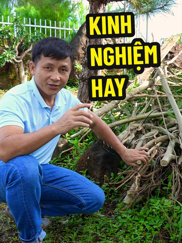 chia sẻ kinh nghiệm hay nèm #binhdiennang2 #chiase #chiasekinhnghiem #cuaxich  #yamasu