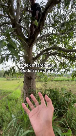 padeh bik pao😴 #katakatamadura #fyppppppp 