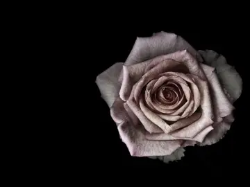 . #ideavilariño #poesia #poema #parati #mama 