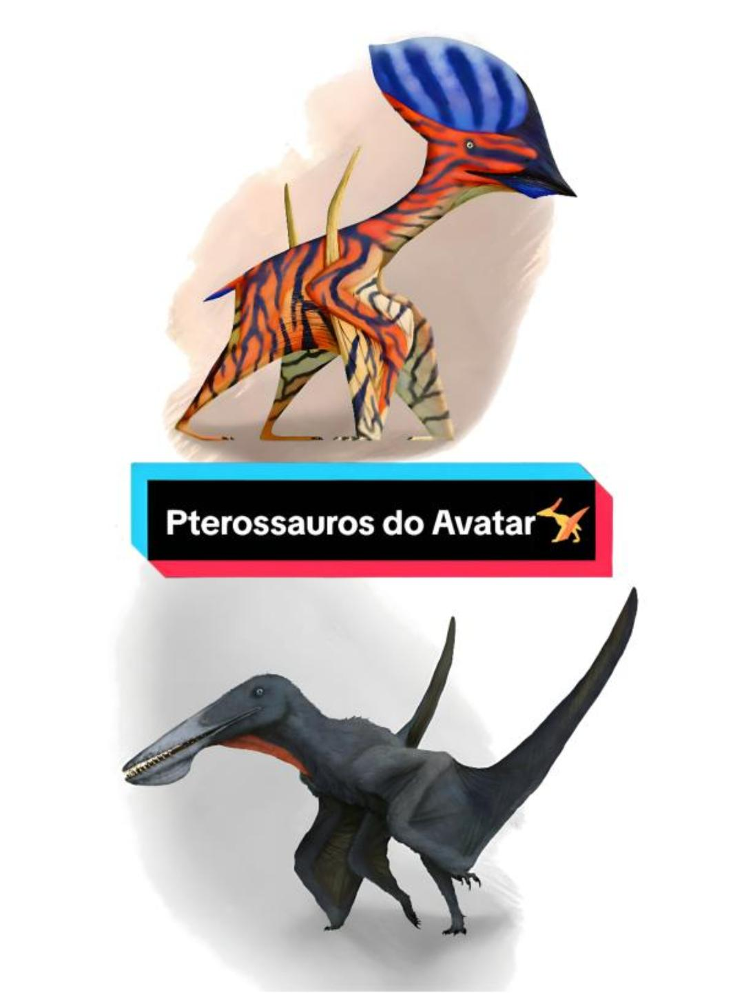 Os DRAGÕES de AVATAR existiram? - Nirvana - Lithium (8 bit) #biohistoriologia #biohistoriologo #ciencia #ciência #Science #jurassicworld #jurassicpark #paleontologia #paleontology #animal #animals #animales #animais #dinossauros #dinosaurs #dinosaurios #dinossauro #dinosaur #dinosaurio #animais #biologia #biology #pterossauro #pterosaur #pterosaurio #pterossauros #pterosaurs #pterosaurios #pterosauria #tapejaridae #tapejarideos #tapejarídeos #tapejarids #tapejara #caiuajara #torukjara #bandeirae #torukjarabandeirae #ikrandraco #ikrandracoavatar #toruk #ikran #banshee #leonopteryx #rex #leonopteryxrex #avatar #filme #movie #humor #emoji #dragao #dragão #dragon #dragoes #dragões #dragons #wyvern #brasil #parana #paraná #china #zhongguo #liaoning #bandeira #kamila #kamilabandeira #learn #aprenda #aprende #LearnOnTikTok #aprendanotiktok #AprendeEnTikTok