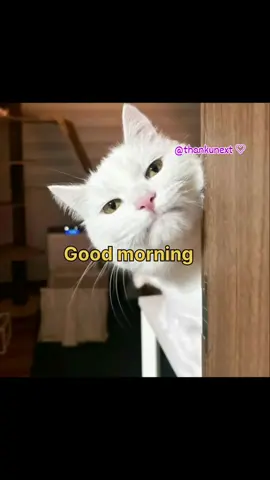 good morning sota howa Chand 😂😂😂😂#foryou100kviews #foryou_tiktok_viral_video_tiktok_foryoupage_100 #myaccountunfreze🙏🥺 #myaccountunfreze🙏🥺viral #foryou_tiktok_viral_video_tiktok_foryoupage_100k_views 