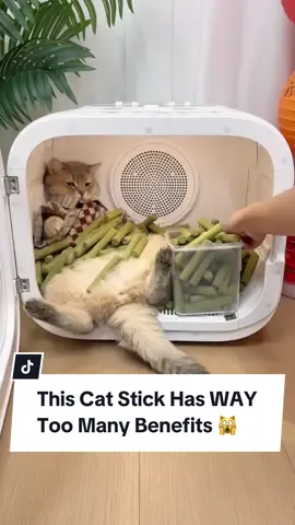 Get this Cat Grass Teething Stick for your cat to munch 🍀