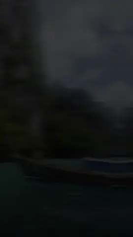 #CapCut 