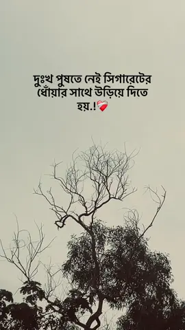 দুঃখ পুষতে নেই সিগারেটের ধোঁয়ার সাথে উড়িয়ে দিতে হয়..? 🚬❤️‍🩹 #100kviews✔️ #foryou #foryoupage #lostchwdhury #caption 