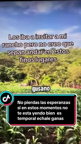 #reflexionesdelavida pura motivación 