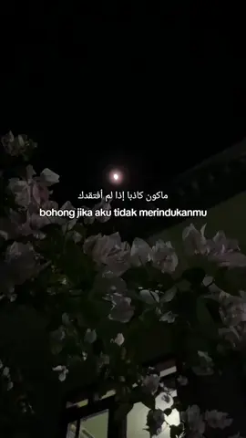 #syairarab #syaircinta #quotes