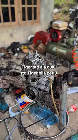 #std #stdporting #stdtiger #tigerstd 