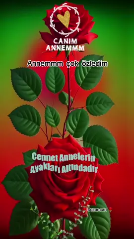 #anne #candır #anne #özlemi #😭😭😭😭 