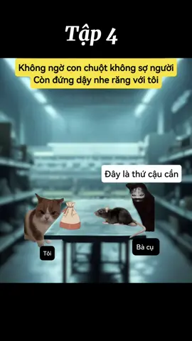 Chuyện xảy ra hôm đó | Tập 4 #xuhuong #meocauchuyen #meme  