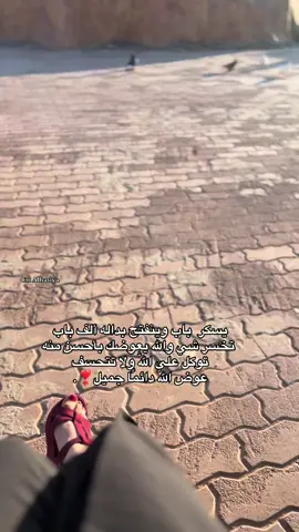 #البيضاء ❤️‍🩹.