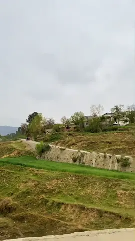 #foryou #Trending #support_me #✌️❤️ #پردیسی #اپنے_نام_کی_ویڈیو_کے_لیے_کمنٹ_کریں #