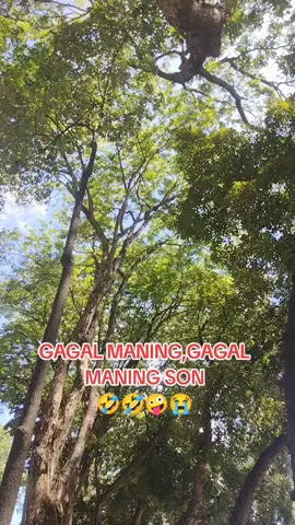 gagal maning,gagal maning son🤪🤪🤪🤣😭😭