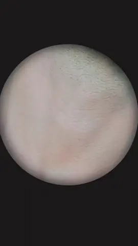 unfreeze my TIKTOK account please tiktok team #foryou #foryoupage #foryoupageofficiall #unfreezemyacount #growmyaccount 