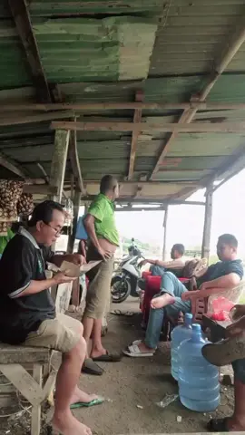 #tiktoklive #livehighlights #sopir #kucing_galak 