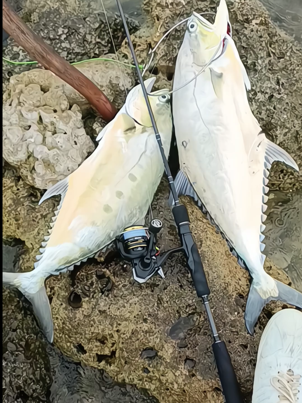 bambang lagi bambang lagi🤭 #ninjaman662 #hemusninjaman #ultralightfishing #microjig #castingfishing🎣 #mancing 