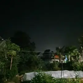 hoa trời đẹp nhất về đêm#phaohoa #hoatroi #trứng5inck #phaohoaquoctedanang #phaohoaquoctedanang 